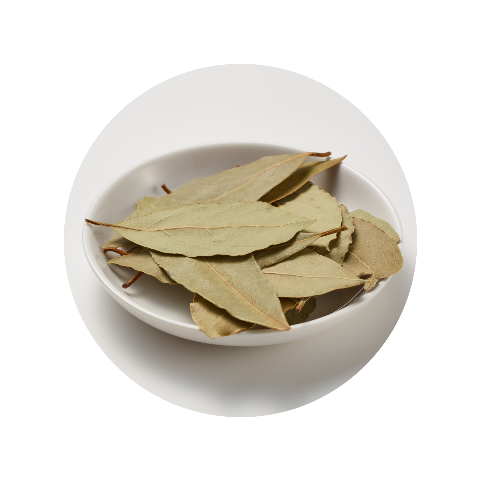 GHS Bay Leaves