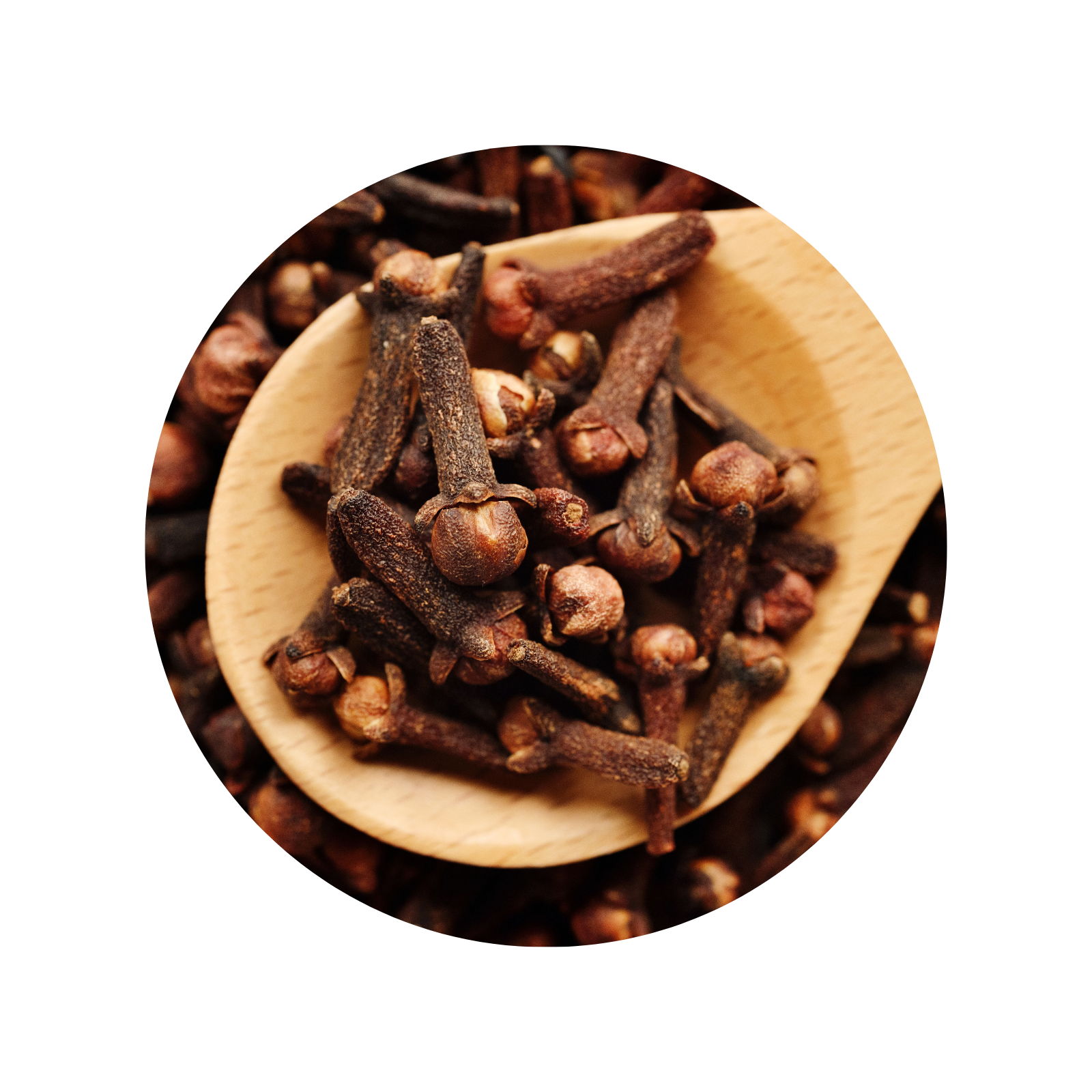 GHS Cloves