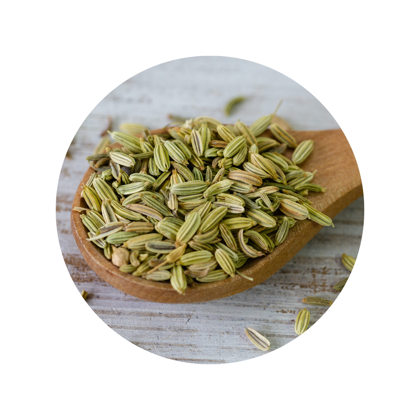 GHS Fennel Seeds