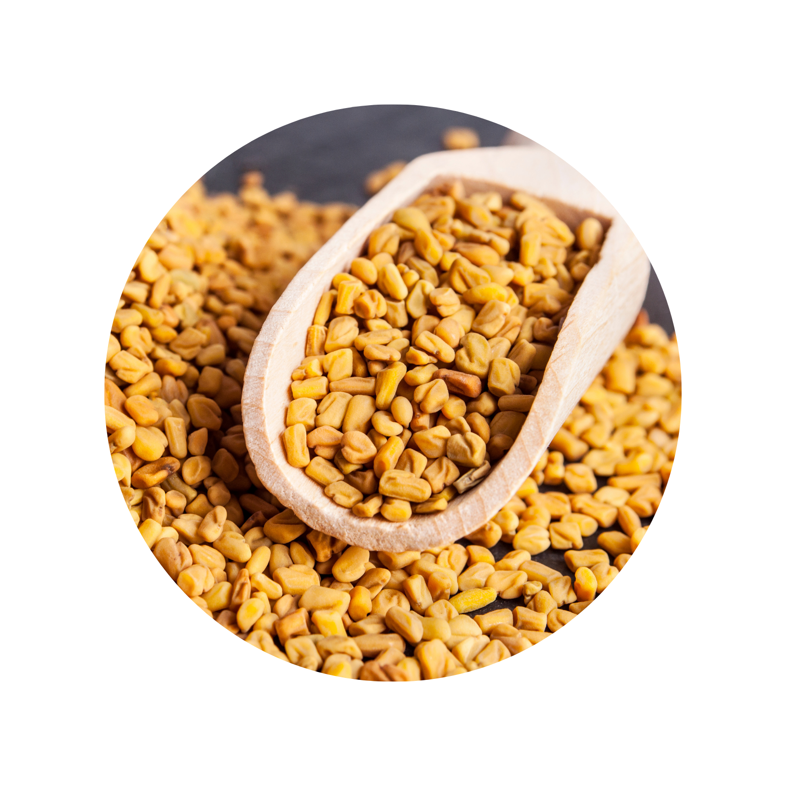GHS Fenugreek Seeds