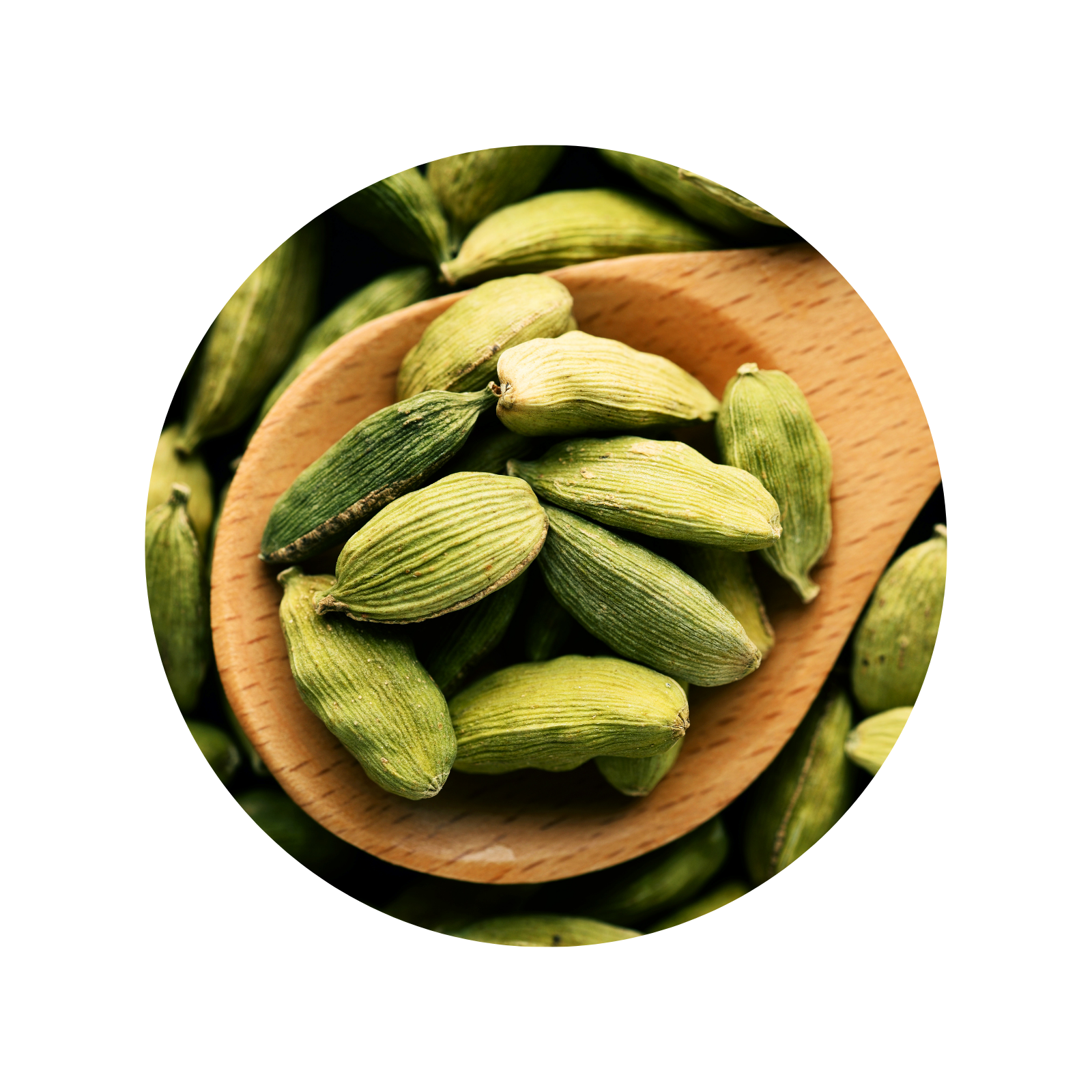 GHS Green Cardamom