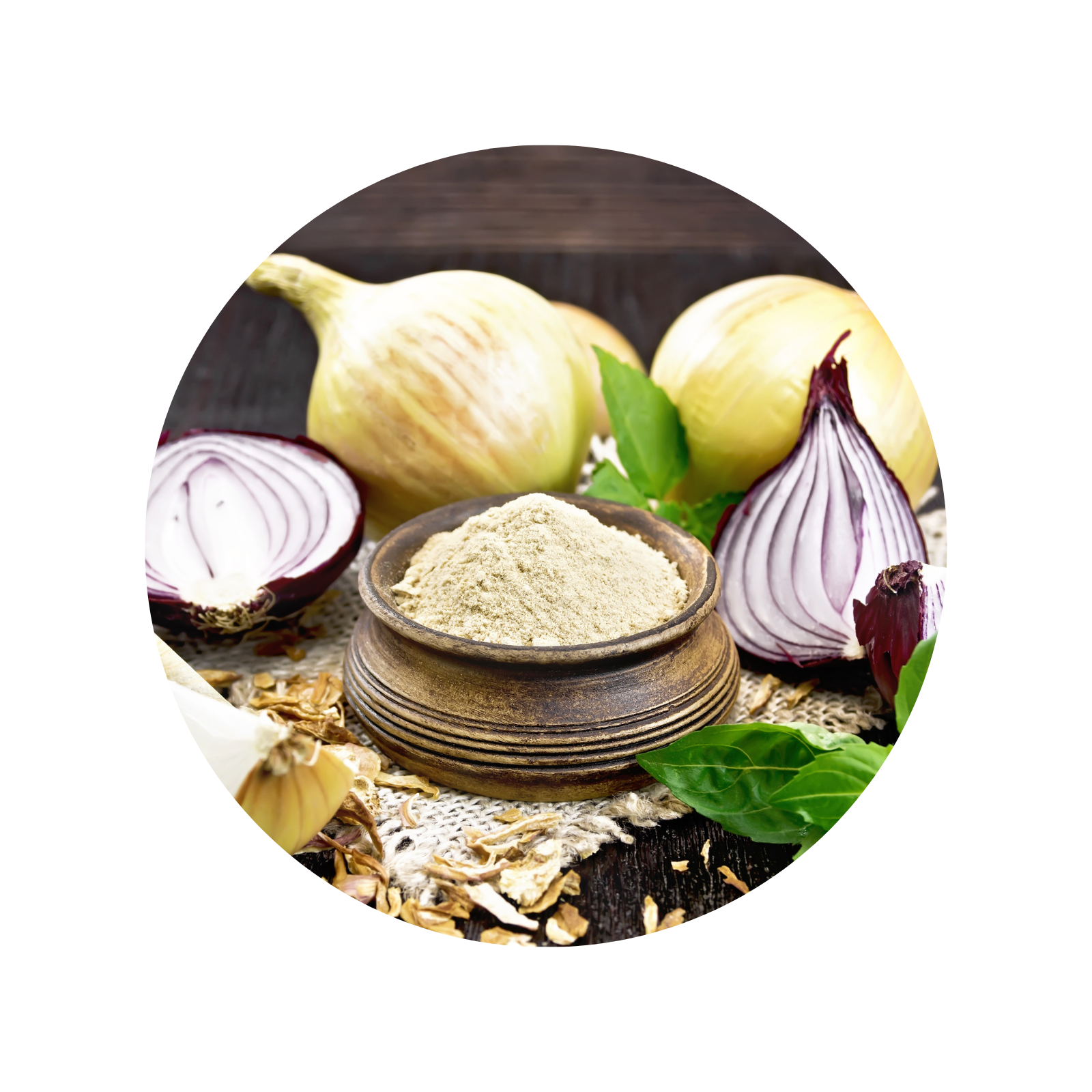 GHS Onion Powder (प्याज पाउडर)