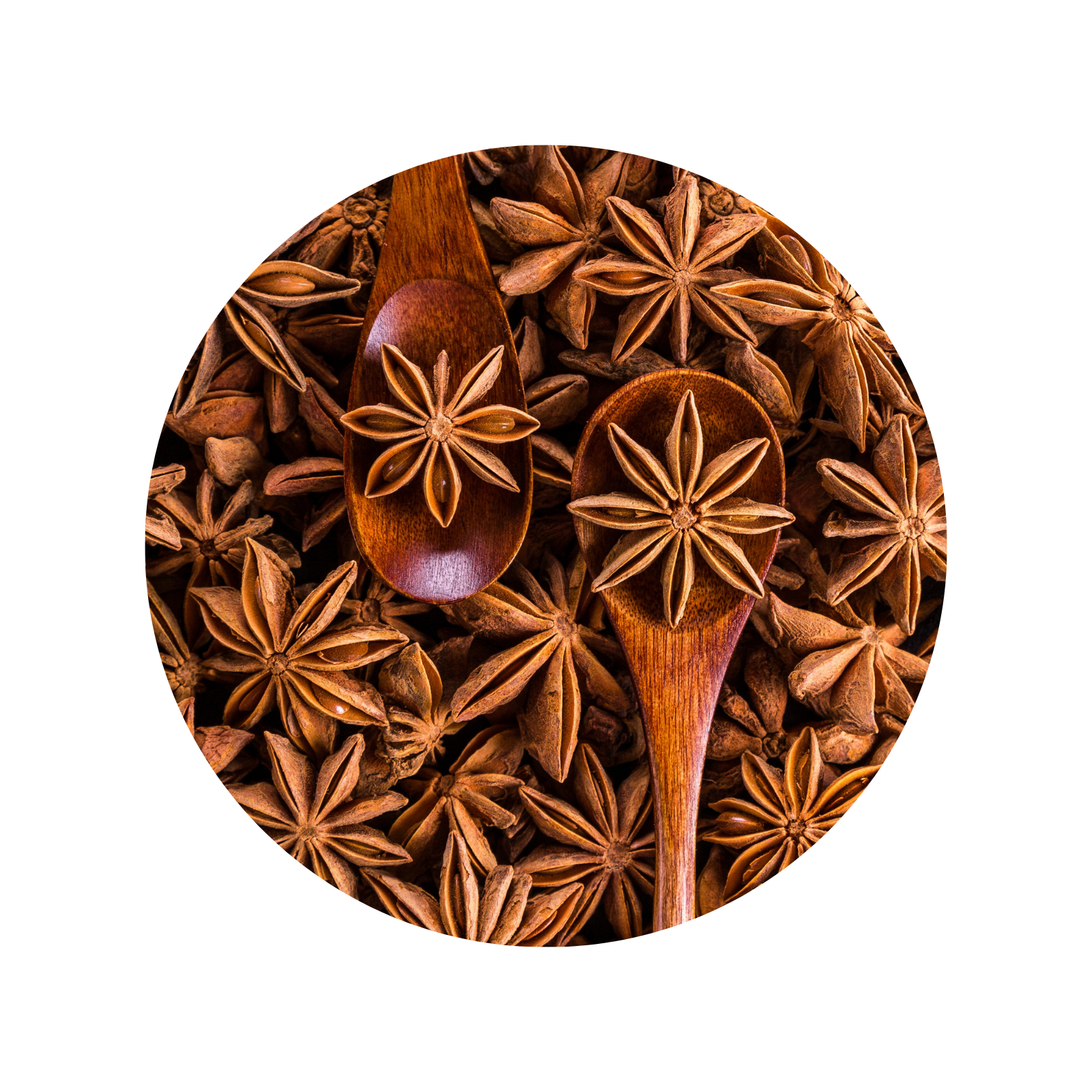 GHS Star Anise