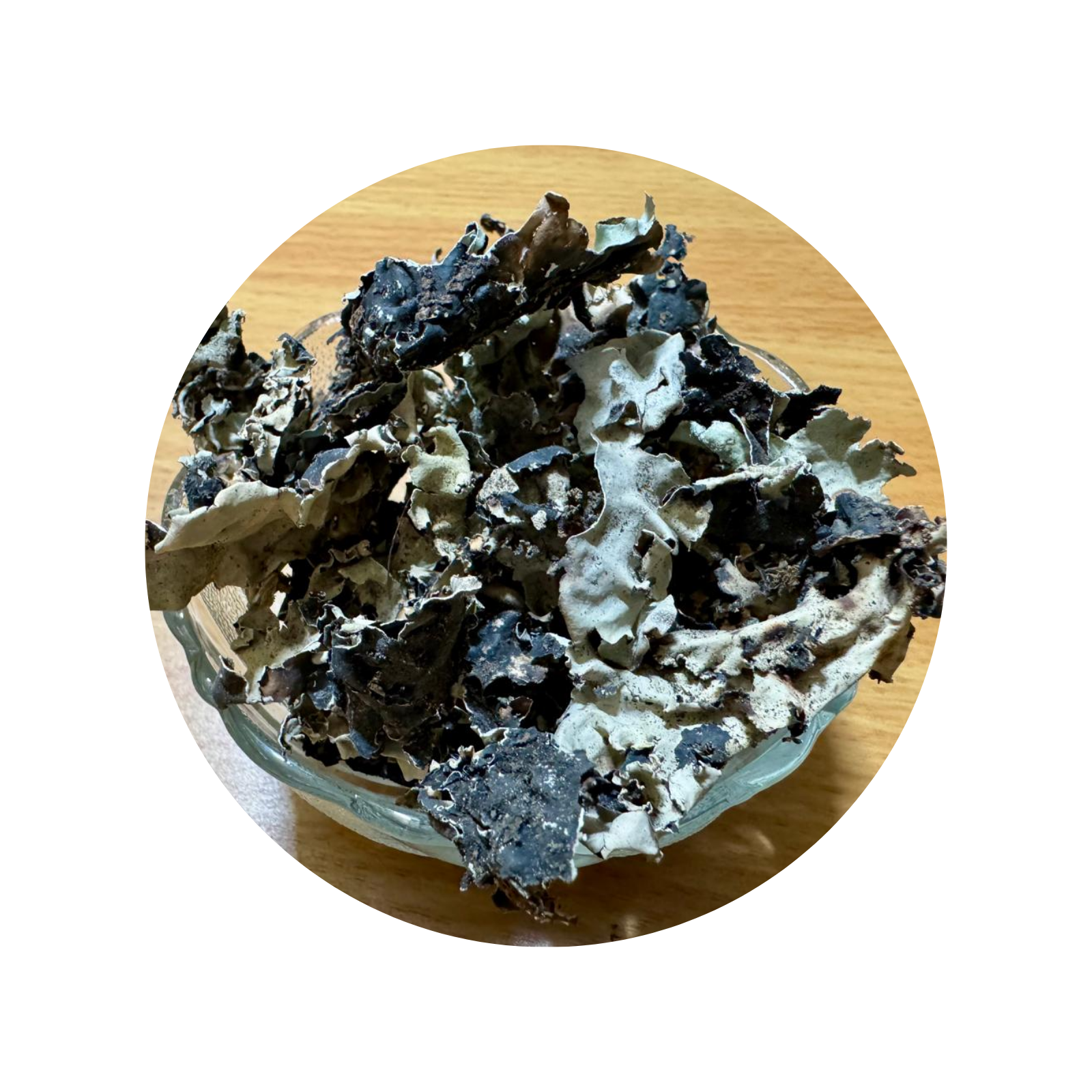 GHS Stone Flower